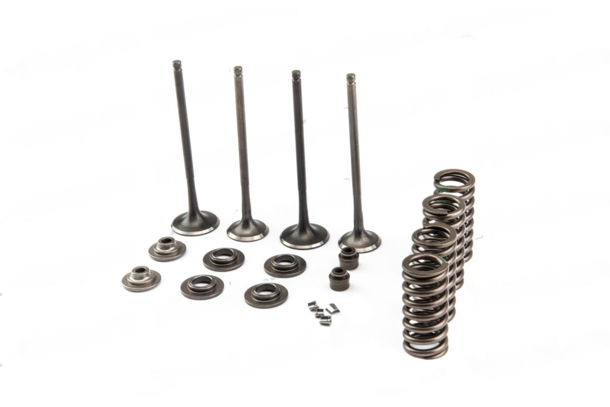 DeWatermark.ai_1716461862969